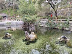-国恩寺