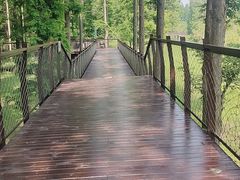 -黄海国家森林公园