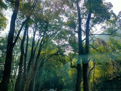 -缙云山景区