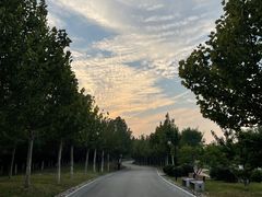 -水西公园