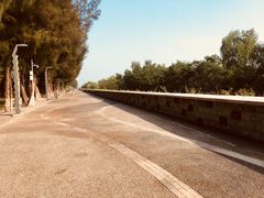 -宝安西湾红树林湿地公园