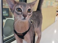 -谐和贝康宠物医院24小时·宠保定点(急重症转诊中心)