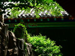 -趵突泉景区