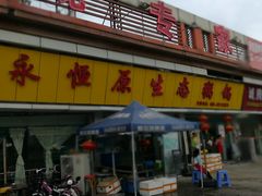 -蚝专家