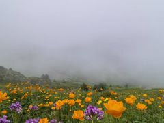 -驼梁风景区