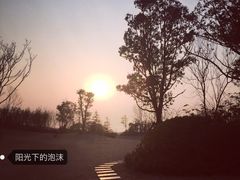 -上海崇明金茂凯悦酒店