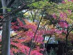 -常寂光寺
