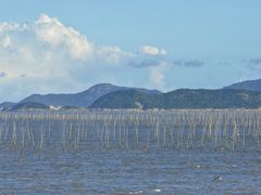 -北岐滩涂