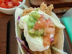 -Famous肥猫墨西哥音乐餐吧(五棵松华熙LIVE店)