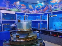 -迎喜海鲜酒楼(鹏森·海纳中心店)