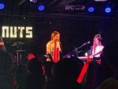 -坚果NUTS