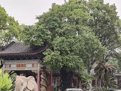 -华雅花园大酒店