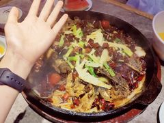 -老板恋上鱼(恒隆广场店)