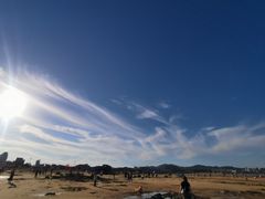 -日照海滨国家森林公园