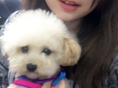 -八公叔叔宠物美容连锁(春申店)