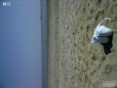 -碧海金沙
