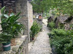 -MOJ coffee(瓯海泽雅水碓坑店)