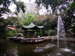 -九龙公园