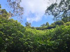 -海口火山口国家地质公园
