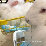 萌宠互动，提升孩子爱心呦