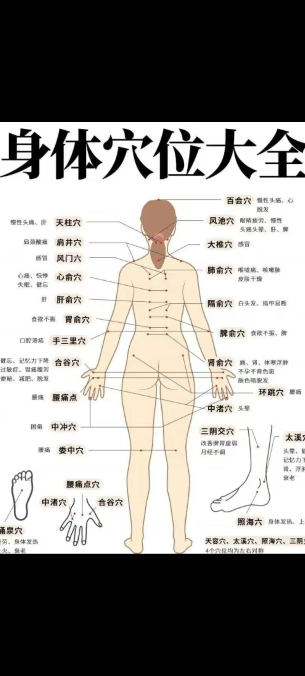 最佳艾灸顺序,时间,穴位,彻底说个清楚!