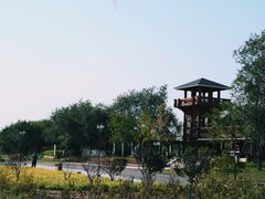 -永定河休闲森林公园