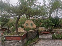 -静园(和平区)
