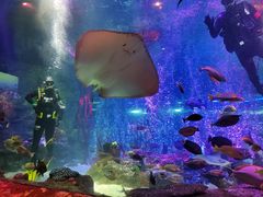 -沈阳海洋探索中心