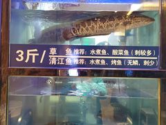 -爱妻鱼•老体北重庆水煮鱼•川菜(白云路店)
