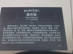 -青海藏文化博物院