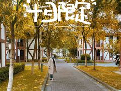 -太阳岛度假酒店