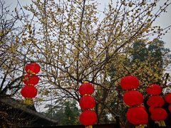 -峨眉山报国寺