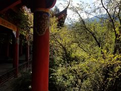 -康定跑马山风景区