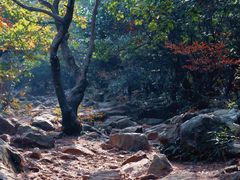 -虞山风景区