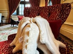 -Salon de Ville浦江汇(上海外滩华尔道夫酒店店)