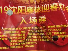 -沈阳奥体冰雪嘉年华