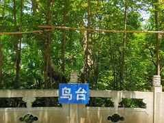 -北极阁公园
