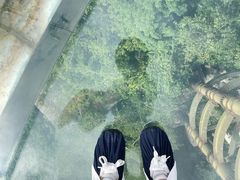 -亚龙湾热带天堂森林公园
