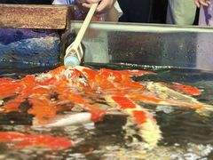 -太平洋海底世界