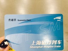 龙阳路磁悬浮列车总站停车场-龙阳路磁悬浮列车总站-停车场