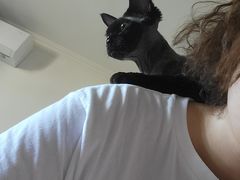 -北京观赏动物医院·24小时大型综合·猫专科·异宠专科