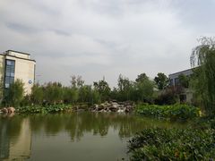 -北京国家会计学院