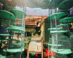 -恐龙探索乐园(磁器口店)