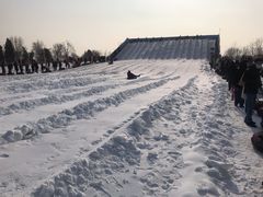 -绿野森林乐园冰雪季