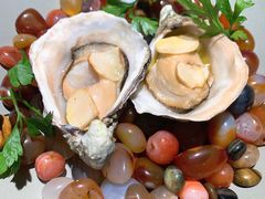 -ZHAO赵·牛扒坊(仁和新城店)