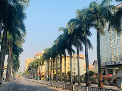 -林氏圆子(胞波路店)