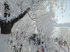 -雾凇岛