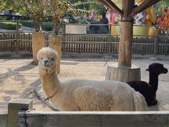 -石家庄市动物园