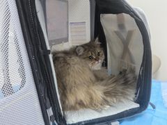 -达爱动物医院·犬猫分区·CT·复杂眼科(远洋山水分院)