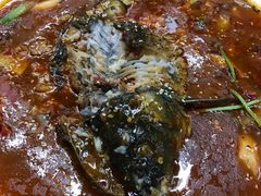 干锅泸沽湖鲜鱼-泸沽肴(泸沽湖大洛水村农村信用社旁店)